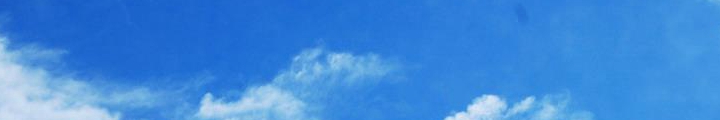 社會(huì)誠信誰來護(hù)？