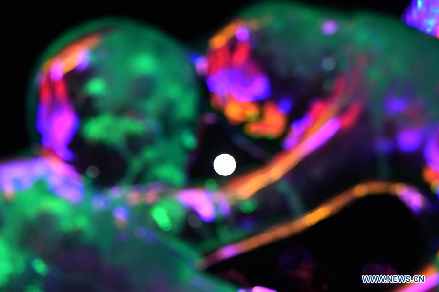 CHINA-XINJIANG-ALTAY-LANTERN FESTIVAL-CELEBRATIONS (CN)