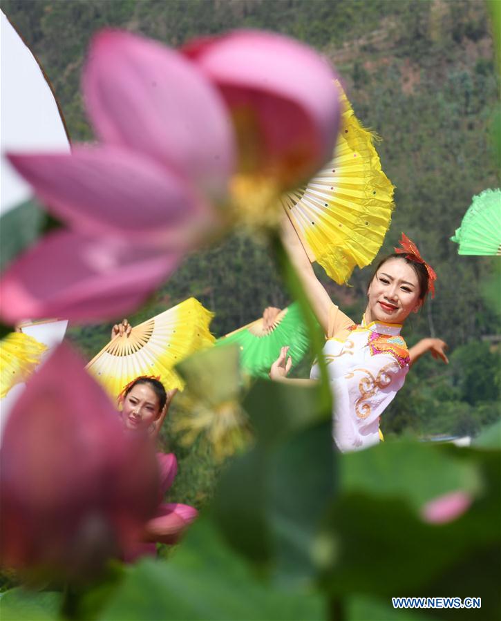 CHINA-YUNNAN-LOTUS FLOWERS (CN)