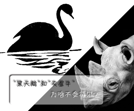 "黑天鵝"和"灰犀牛"為啥不受待見？