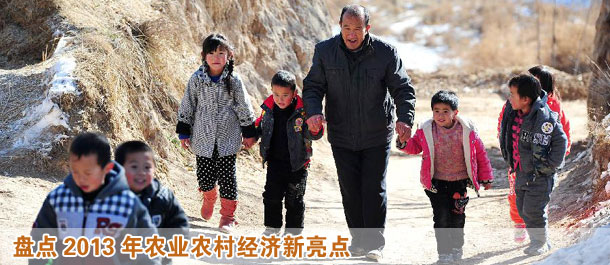 盤點2013年農業(yè)農村經(jīng)濟新亮點