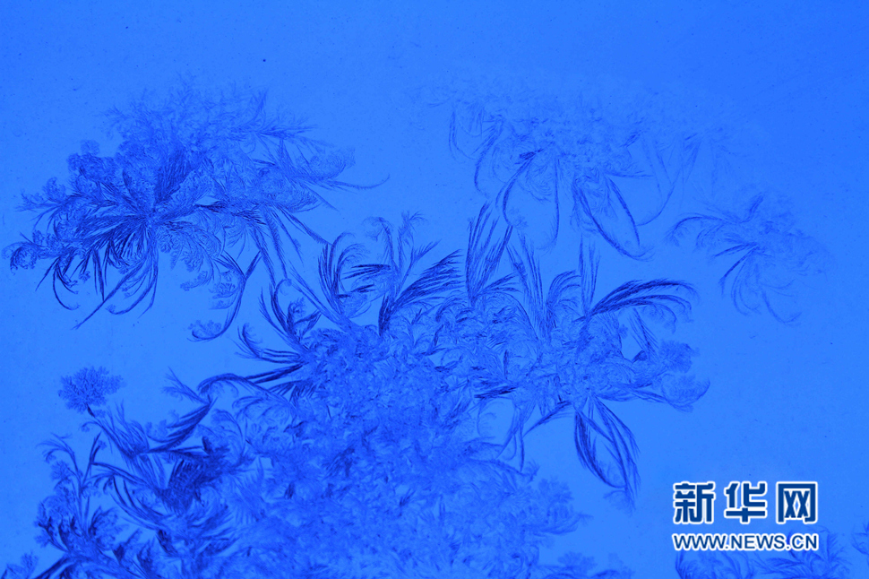 忽如一夜寒冬來(lái)，千家萬(wàn)戶(hù)窗花開(kāi)