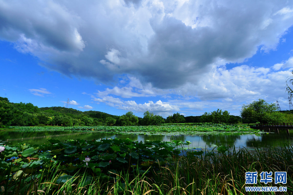 秋高氣爽，行攝八掛田