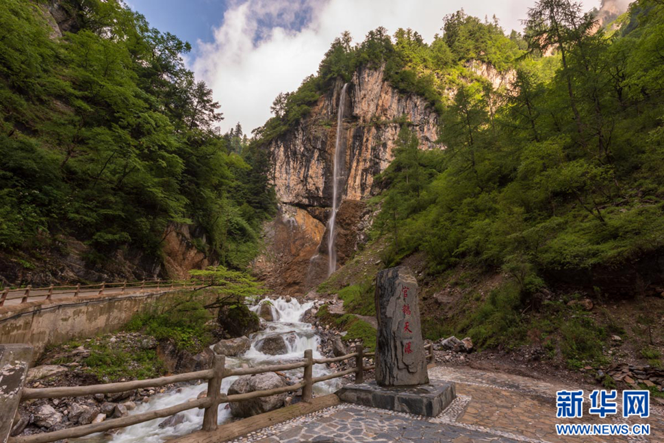 重崖森迥瀑飛先，鵝溝炎夏水風涼
