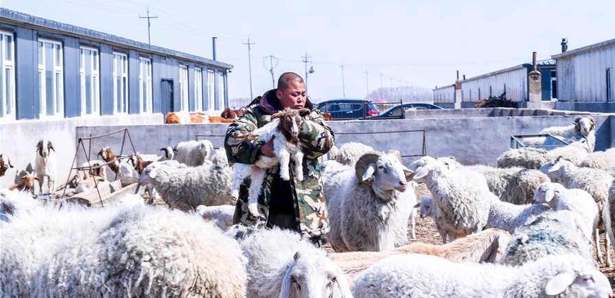 易地搬遷讓村民“住得好、能致富”