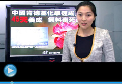 權(quán)威聲音：“快時代”究竟還有什么可以速成？