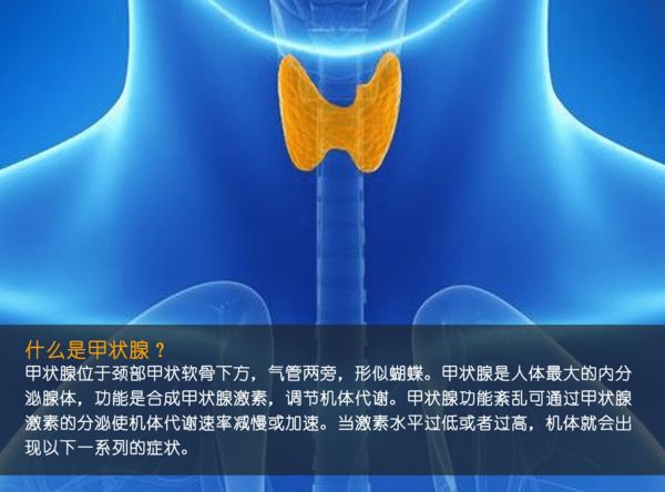 關(guān)注甲狀腺健康，你應(yīng)該知道的那些事
