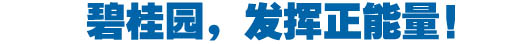 社會(huì)責(zé)任融入血液 碧桂園踐行“中國夢”