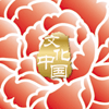 “文化中國·四海同春”是到海外僑胞聚居國家開展慰?jī)S演出，與海外僑胞共慶中國傳統(tǒng)農(nóng)歷新年。