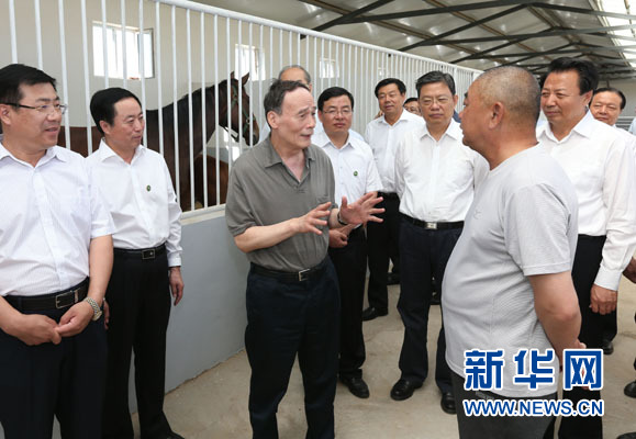 這是7月3日，王岐山在錫林浩特市義合良種馬繁育基地考察。新華社記者 龐興雷 攝
