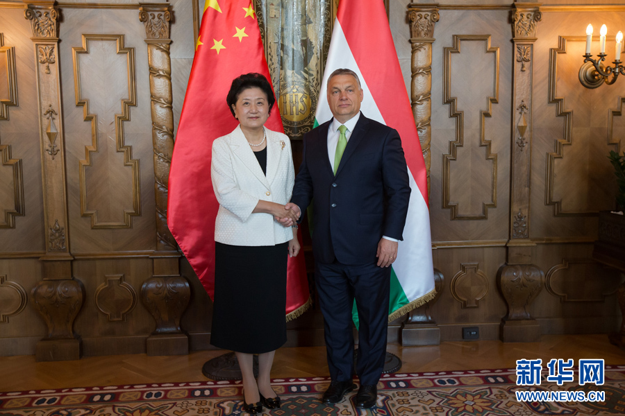  6月21日，國務(wù)院副總理劉延?xùn)|（左）在匈牙利布達佩斯國會大廈會見匈牙利總理歐爾班。 新華社發(fā)（弗爾季·奧蒂洛攝）