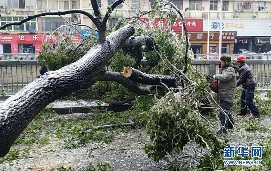 （新華全媒頭條）（7）雨雪冰凍中，他們奮力前行——基層黨員干群抗擊冰雪災(zāi)害紀(jì)實(shí)