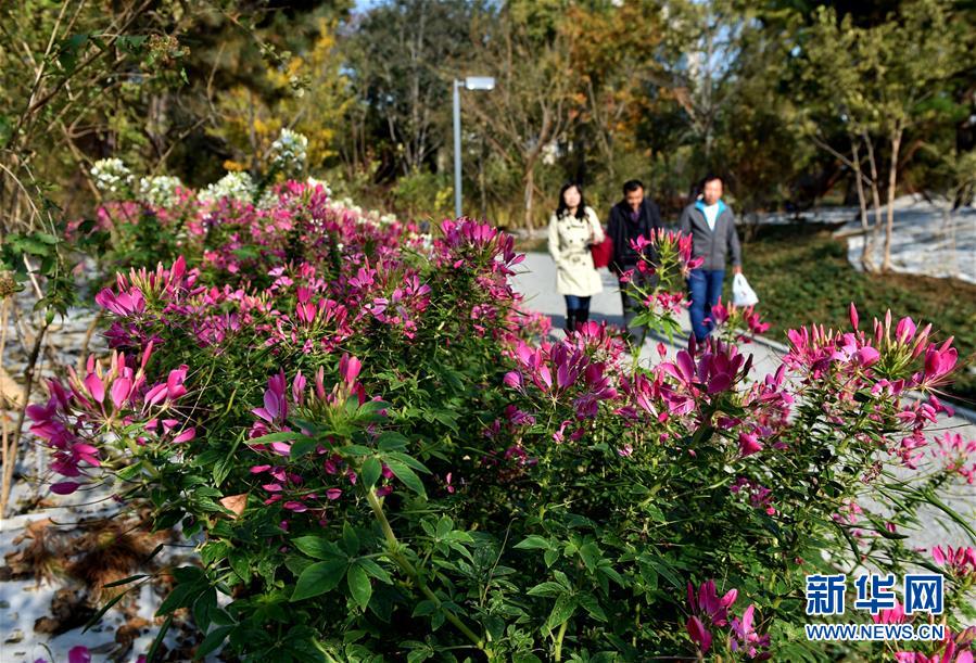 (圖文互動)(1)藍天白云講述北京新時代新故事——北京站上新時代發(fā)展新起點
