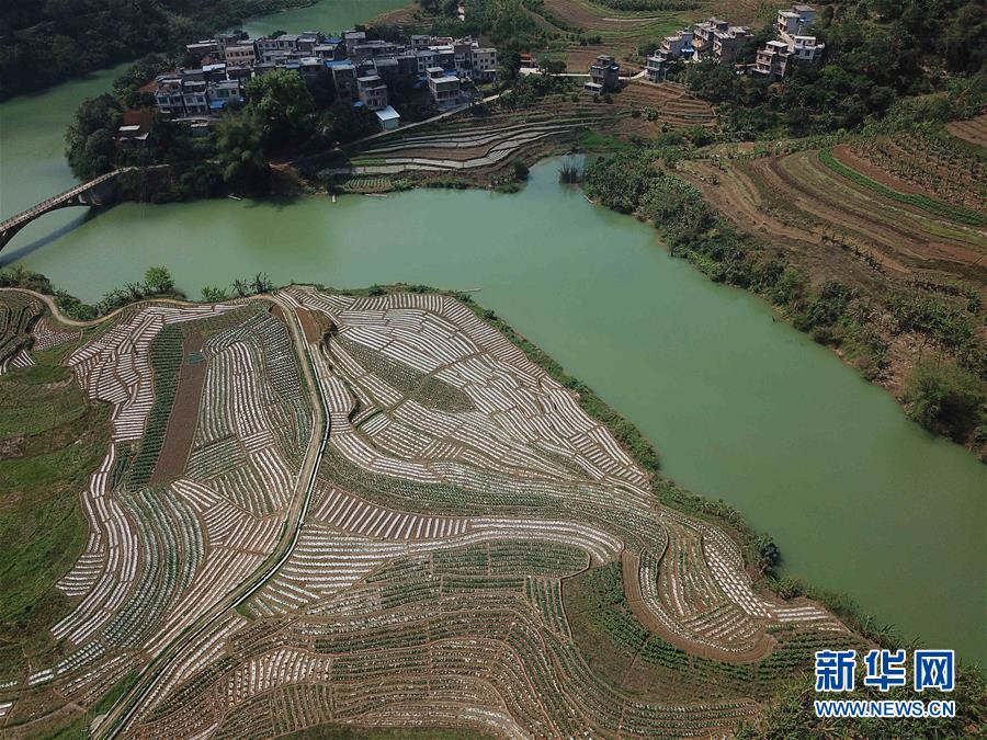 （春季美麗生態(tài)）（14）飛閱邊關山田春景