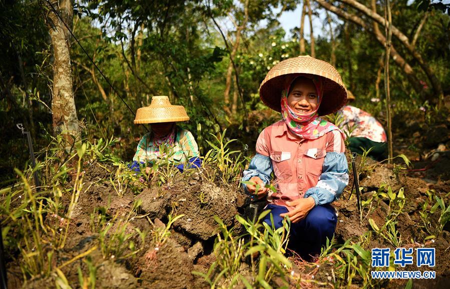 (新媒體專線)(6)立足獨特優(yōu)勢 勇立改革潮頭——習近平總書記在海南考察回訪記