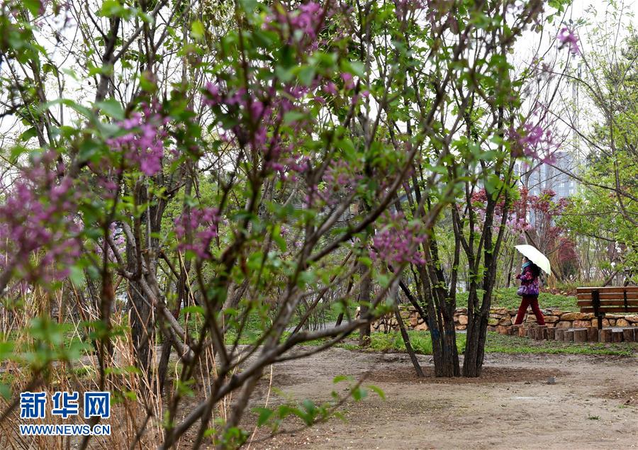 （在習(xí)近平新時(shí)代中國特色社會主義思想指引下——新時(shí)代新氣象新作為·新華全媒頭條·圖文互動）（4）最濃是這中國紅——北京市西城區(qū)弘揚(yáng)紅墻意識深化改革發(fā)展紀(jì)實(shí)