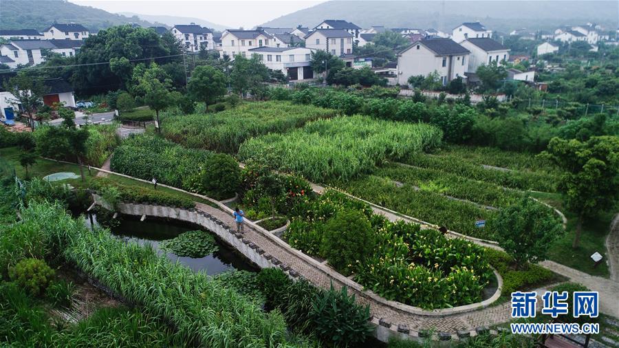 （在習(xí)近平新時(shí)代中國特色社會(huì)主義思想指引下——新時(shí)代新作為新篇章·圖文互動(dòng)）（1）稀奇！治污濕地成了休閑公園——江蘇蘇州全域推進(jìn)農(nóng)村生活污水治理