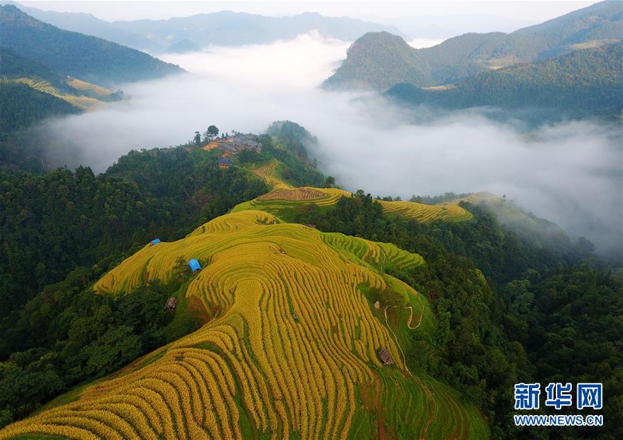 (新華全媒頭條·圖文互動(dòng))(6)從脆弱生態(tài)到滿眼皆“綠”——國(guó)家生態(tài)文明試驗(yàn)區(qū)貴州的“綠色之路”