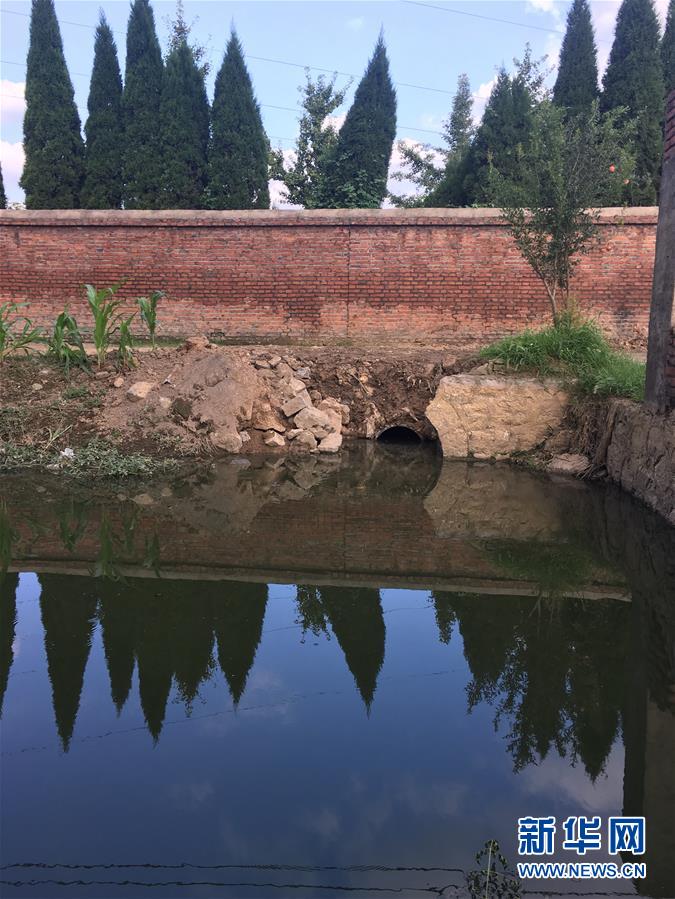 （新華視點·圖文互動）（3）上游洪水來襲下游魚蟹死亡，泄洪為何變泄污？