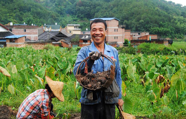 秋收的中國(guó)，你想象不到的美！但更美的是……