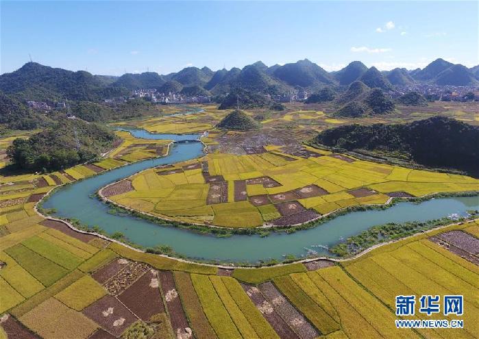 秋收的中國(guó)，你想象不到的美！但更美的是……
