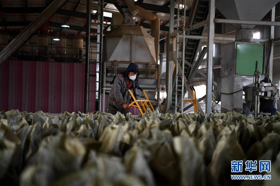 （在習(xí)近平新時代中國特色社會主義思想指引下——新時代新氣象新作為·鄉(xiāng)村振興戰(zhàn)略·圖文互動）（1）“與其放火，不如打包”——山西渾源秸稈綜合再利用見聞