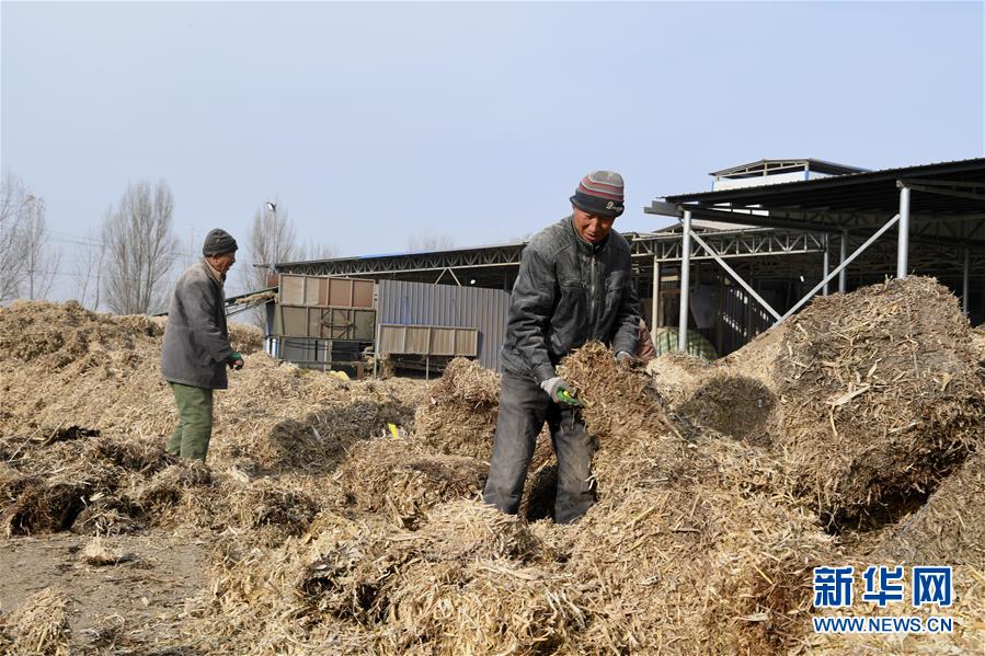 （在習(xí)近平新時代中國特色社會主義思想指引下——新時代新氣象新作為·鄉(xiāng)村振興戰(zhàn)略·圖文互動）（2）“與其放火，不如打包”——山西渾源秸稈綜合再利用見聞