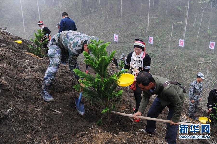 （圖文互動）（6）和平年代，離死神最近的人——南部戰(zhàn)區(qū)陸軍云南掃雷大隊邊境掃雷排爆記事