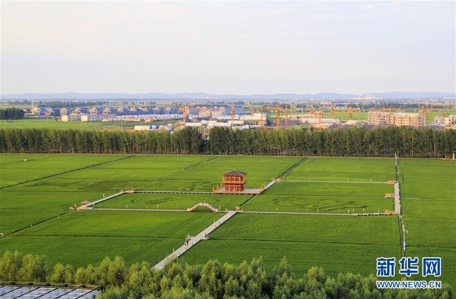 （慶祝改革開放40周年基層行·鄉(xiāng)鎮(zhèn)篇·圖文互動）（3）三產(chǎn)融合培育鄉(xiāng)村振興熱土——吉林孤店子鎮(zhèn)“村變城”背后的故事