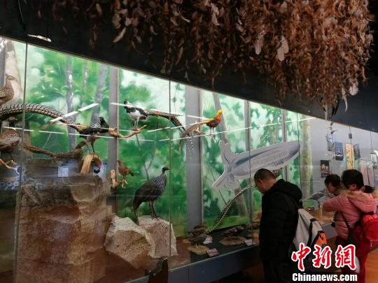 圖為展覽現(xiàn)場?！『h航 攝