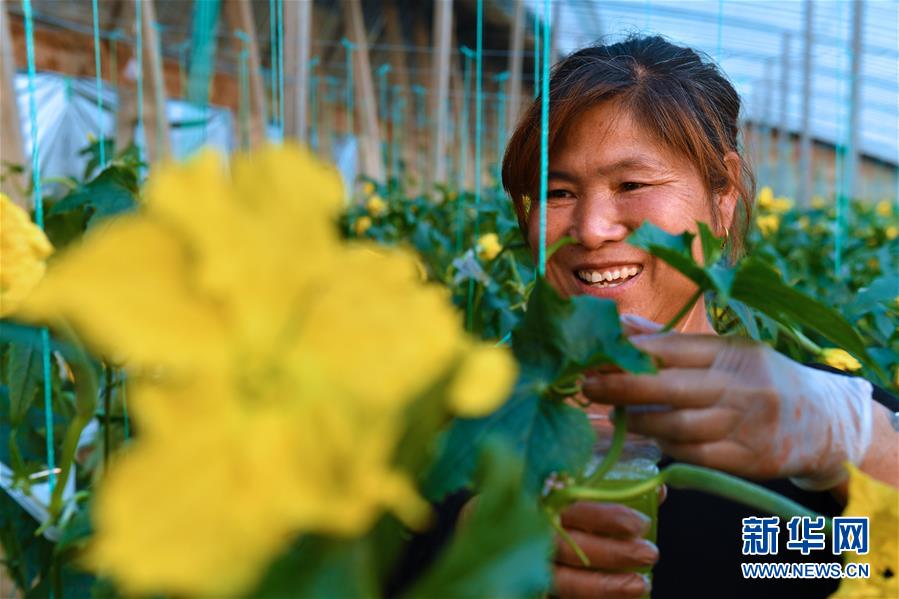 （兩會(huì)前夕看落實(shí)&middot;圖文互動(dòng)）（4）融合&ldquo;三生三美&rdquo; 打造鄉(xiāng)村振興齊魯樣板&mdash;&mdash;山東落實(shí)習(xí)近平總書記全國(guó)兩會(huì)重要講話精神紀(jì)實(shí)