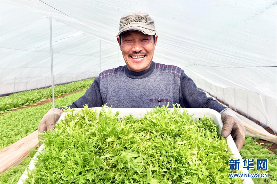 （兩會(huì)前夕看落實(shí)&middot;圖文互動(dòng)）（3）融合&ldquo;三生三美&rdquo; 打造鄉(xiāng)村振興齊魯樣板&mdash;&mdash;山東落實(shí)習(xí)近平總書記全國(guó)兩會(huì)重要講話精神紀(jì)實(shí)