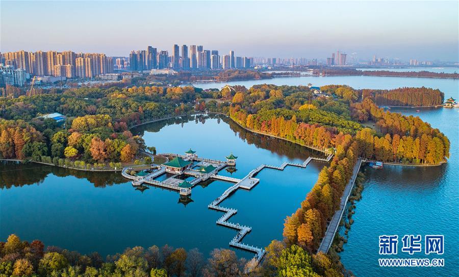 （兩會·圖文互動）（6）“這樣的綠道太贊了！”——代表委員熱議東湖綠道建設(shè)