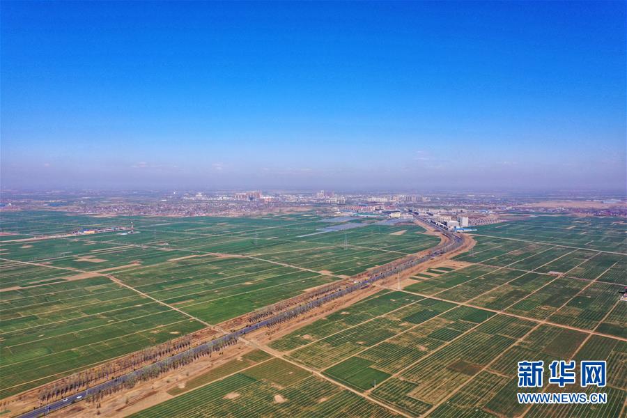 （新華全媒頭條·圖文互動）（6）奮進(jìn)，向著未來之城！——河北雄安新區(qū)建設(shè)發(fā)展兩周年紀(jì)實(shí)