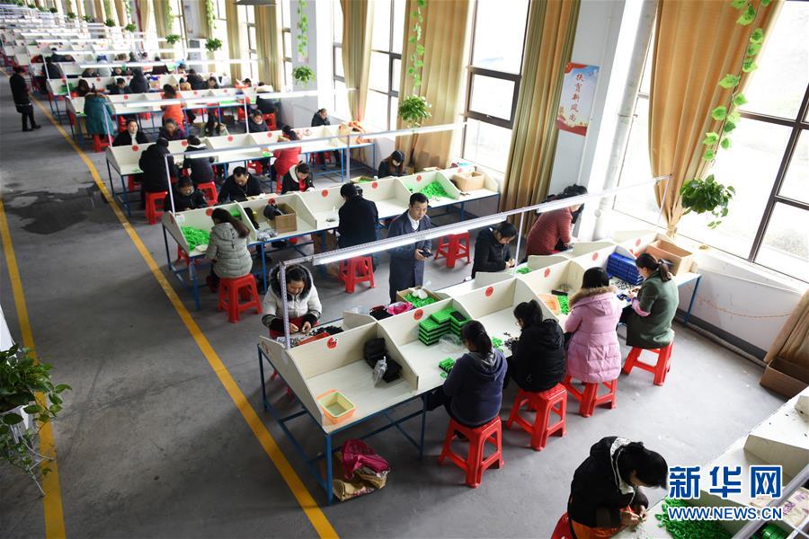 （在習(xí)近平新時(shí)代中國(guó)特色社會(huì)主義思想指引下——新時(shí)代新作為新篇章·圖文互動(dòng)）（5）“搬遷到哪里，服務(wù)就延伸到哪里”——貴州推進(jìn)易地扶貧搬遷“后半篇文章” 