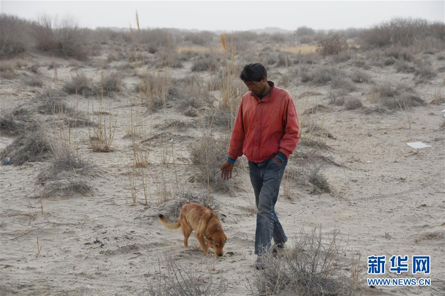 (圖文互動)(3)海子里的牧羊人見證中國最長內陸河生態(tài)變遷