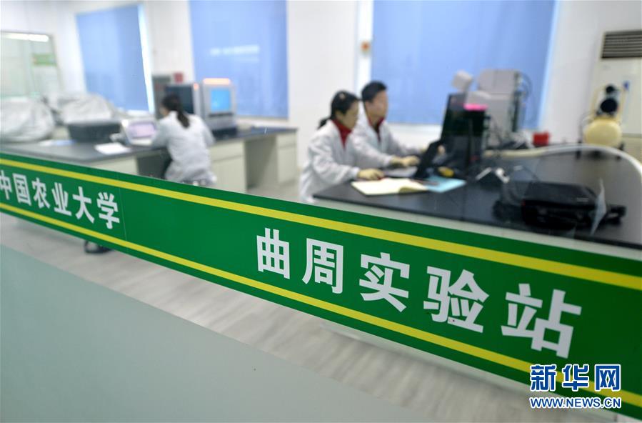 （愛(ài)國(guó)情 奮斗者·圖文互動(dòng)）（3） “解民生之多艱，育天下之英才”——中國(guó)農(nóng)大師生扎根田野書寫奉獻(xiàn)之歌