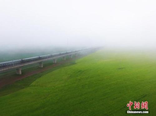 資料圖：動車組穿越雨霧中的油菜花海宛若穿越時空。 楊艷敏 攝