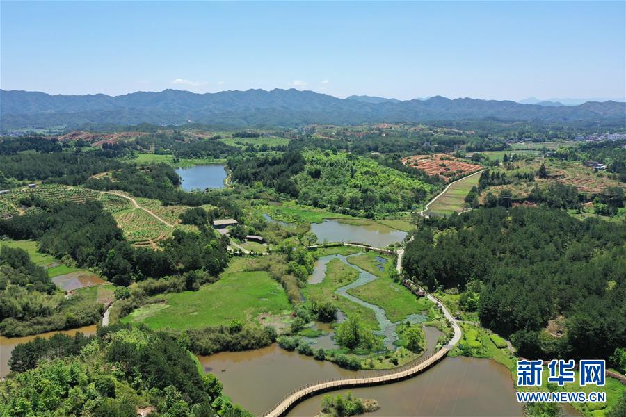 (壯麗70年·奮斗新時(shí)代·圖文互動(dòng)）（2）福建長汀：換顏“山光水濁” 永駐綠水青山