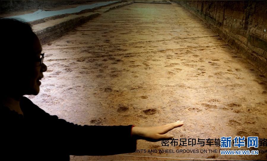 （新華全媒頭條·圖文互動）（6）“若問古今興廢事，請君只看洛陽城”——千年古都“烹制”博物館盛宴