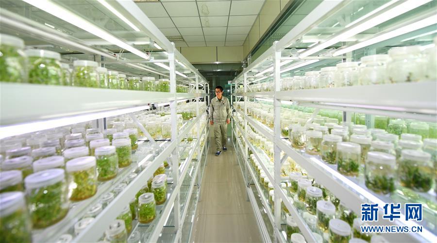 (權威訪談·聚焦中國經濟亮點·圖文互動)(6)防治土地荒漠化 推動綠色發(fā)展——專訪國家林業(yè)和草原局副局長劉東生