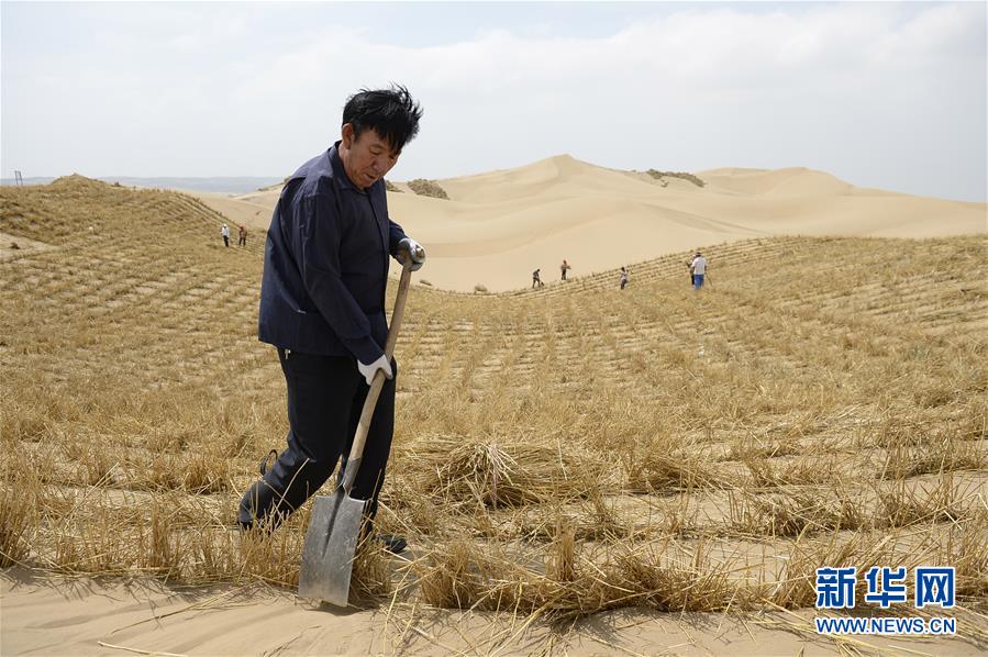(權威訪談·聚焦中國經濟亮點·圖文互動)(9)防治土地荒漠化 推動綠色發(fā)展——專訪國家林業(yè)和草原局副局長劉東生
