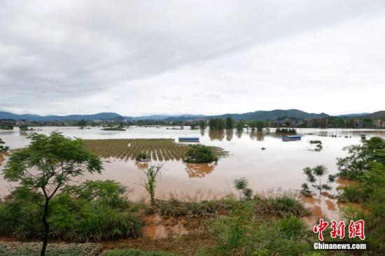 資料圖：湖南省臨武縣武水鎮(zhèn)、南強(qiáng)鎮(zhèn)、汾市鎮(zhèn)、水東鎮(zhèn)、金江鎮(zhèn)等鄉(xiāng)鎮(zhèn)遭遇特大暴雨襲擊，導(dǎo)致大量民房和農(nóng)田被淹。據(jù)不完全統(tǒng)計(jì)，該縣數(shù)千戶民房被淹，數(shù)十萬(wàn)畝農(nóng)田、果園、煙田被淹斷收，直接經(jīng)濟(jì)損失達(dá)數(shù)千萬(wàn)元。災(zāi)情發(fā)生后，當(dāng)?shù)卣跋嚓P(guān)部門第一時(shí)間奔赴受災(zāi)鄉(xiāng)鎮(zhèn)轉(zhuǎn)移群眾，察看災(zāi)情并積極組織村民排澇自救、發(fā)放救災(zāi)物資、開展保險(xiǎn)理賠等工作。目前救災(zāi)工作正在有序進(jìn)行，無(wú)人員傷亡。唐盛歡 攝