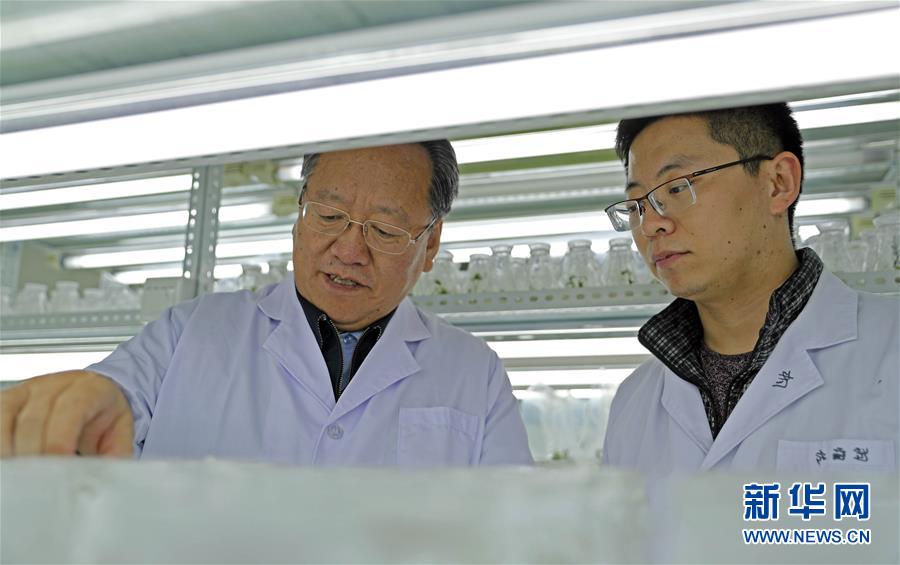 (新華全媒頭條·圖文互動)(2)和蔬菜“說話”的人——中國工程院院士李天來的“棚菜人生”