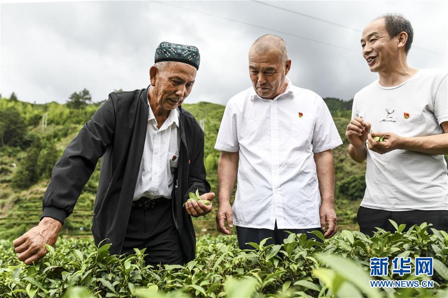 （新華全媒頭條·圖文互動）（7）同心援疆，“壯闊”祖國西北角
