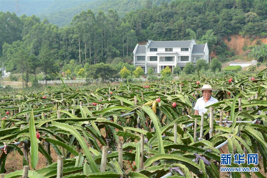 （在習(xí)近平新時代中國特色社會主義思想指引下——新時代新作為新篇章·總書記關(guān)心的百姓身邊事·圖文互動）（6）大污染變身“大寶藏”：治理畜禽糞污，他們這樣干！