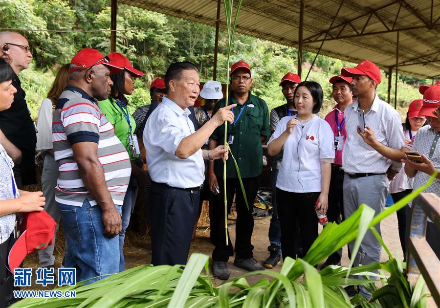 （不忘初心、牢記使命·圖文互動）（5）拳拳寸草心 濃濃報國情——記“菌草之父”林占熺