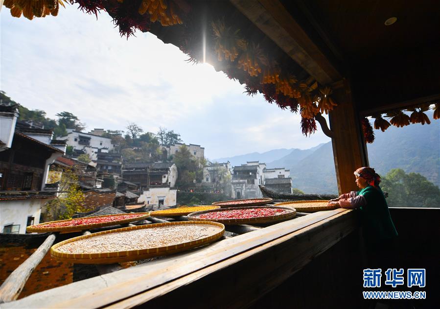 （圖文互動）（5）鄉(xiāng)村攝影師、鄉(xiāng)村“模特”、民宿店主——鄉(xiāng)村旅游推動婺源農(nóng)民生活方式發(fā)生新變化