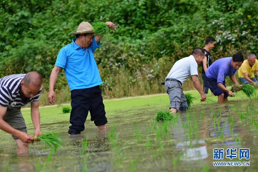 （新華全媒頭條·圖文互動(dòng)）（8）干部去哪兒了？——貴州干部大規(guī)模下沉脫貧攻堅(jiān)一線紀(jì)實(shí)
