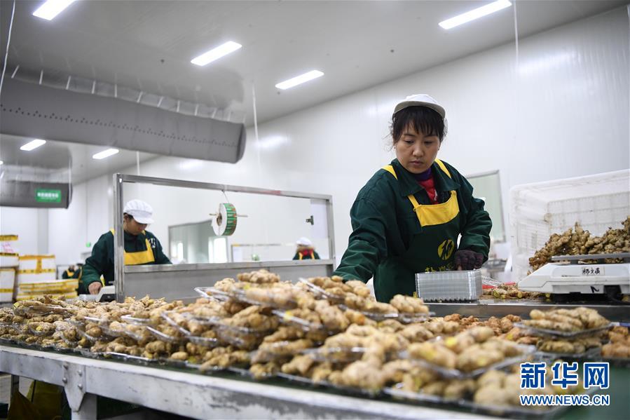 （在習(xí)近平新時代中國特色社會主義思想指引下——新時代新作為新篇章·總書記關(guān)切高質(zhì)量發(fā)展·圖文互動）（3）穩(wěn)住“一頭豬”、供好“一袋米”、配好“一籃菜